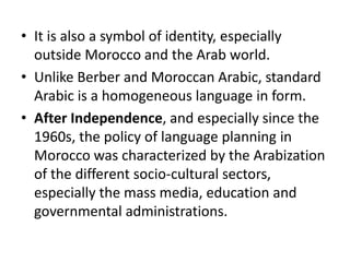 Moroccan arab arabic arabian gal from Morocco
